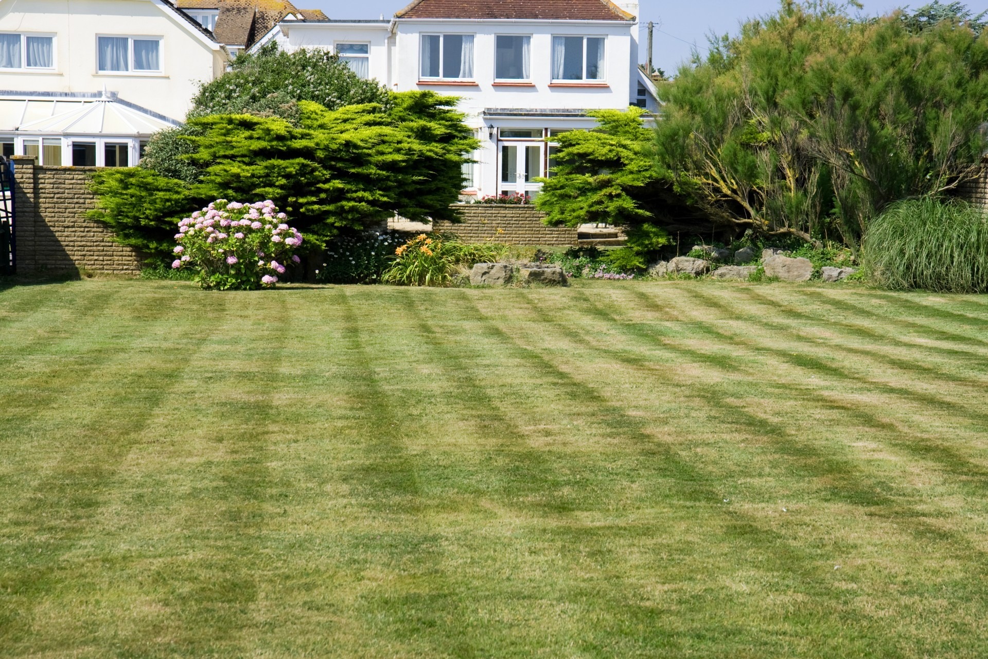 grass-220465